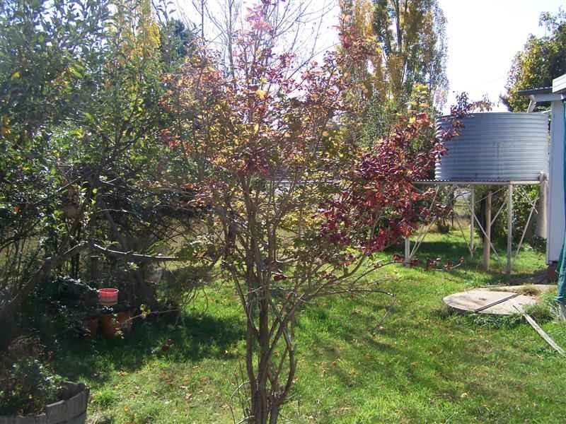 1593 Wagga Road, Tumbarumba NSW 2653