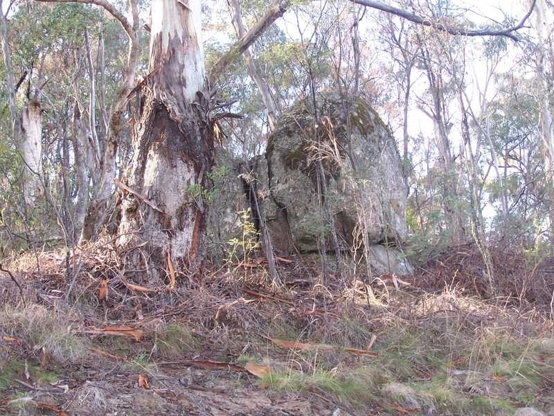 Lot 3 Elliot Way, Tumbarumba NSW 2653
