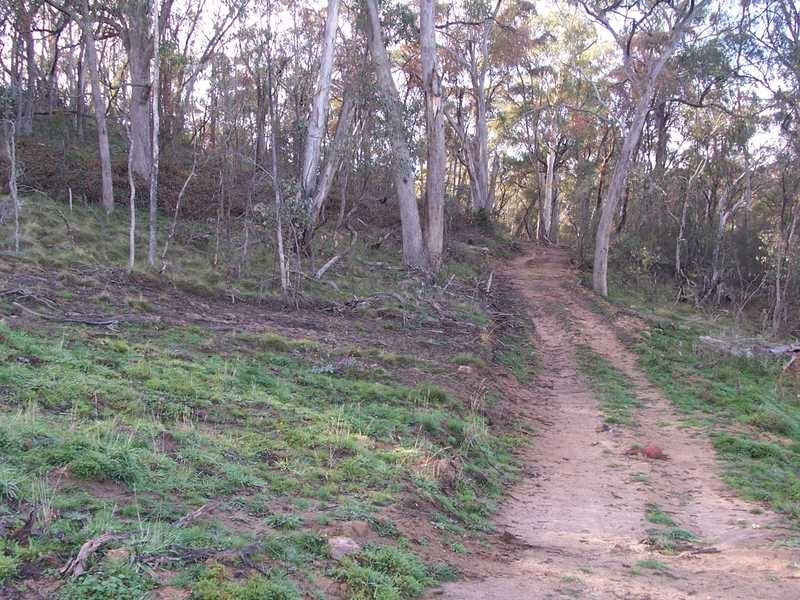 Lot 3 Elliot Way, Tumbarumba NSW 2653
