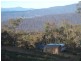 Lot 3 Elliot Way, Tumbarumba NSW 2653