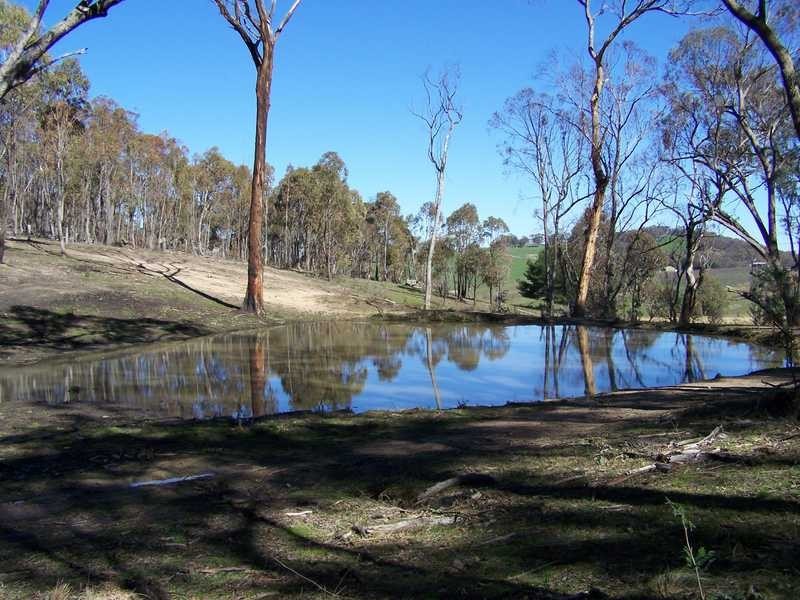 Lot 1 Elliot Way, Tumbarumba NSW 2653