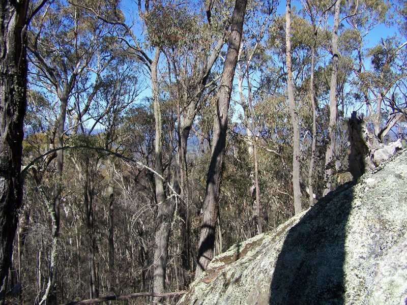 Lot 1 Elliot Way, Tumbarumba NSW 2653