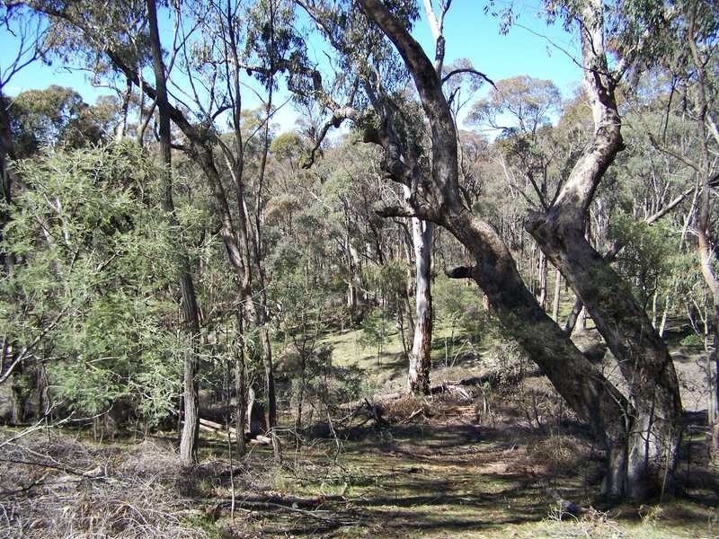 Lot 1 Elliot Way, Tumbarumba NSW 2653