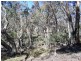 Lot 1 Elliot Way, Tumbarumba NSW 2653