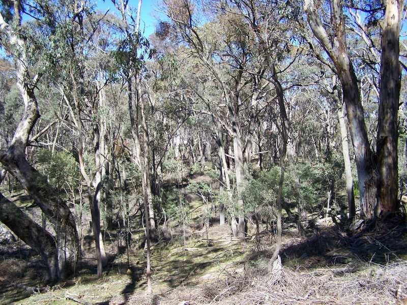 Lot 1 Elliot Way, Tumbarumba NSW 2653