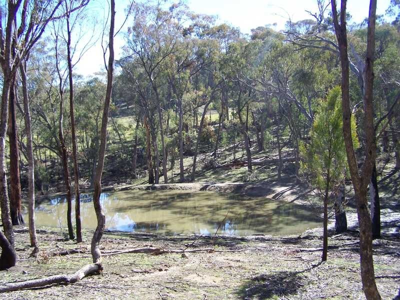 Lot 1 Elliot Way, Tumbarumba NSW 2653