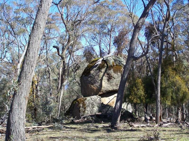 Lot 1 Elliot Way, Tumbarumba NSW 2653