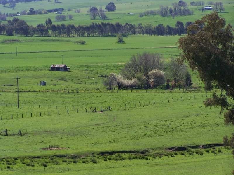 369 Westbrook Road, Oberne Creek NSW 2650