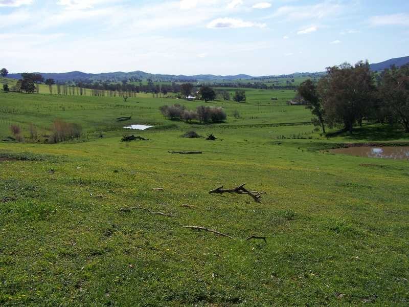 369 Westbrook Road, Oberne Creek NSW 2650