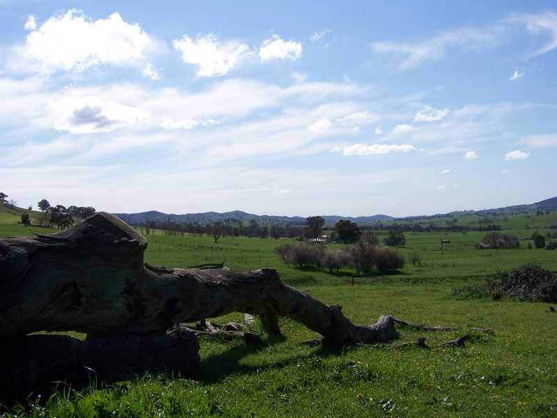 369 Westbrook Road, Oberne Creek NSW 2650