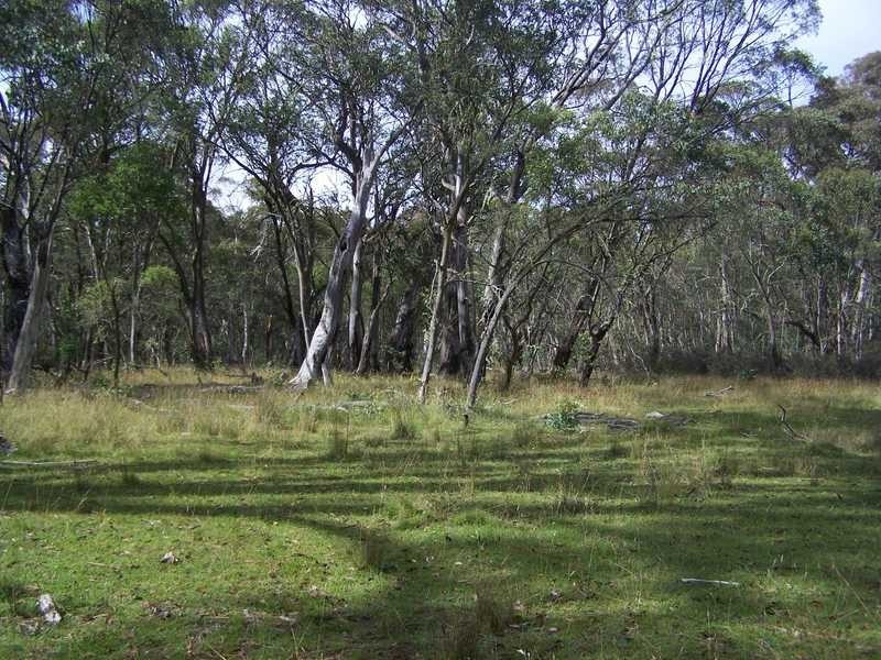 Lot 5 Bradleys Drive, Tumbarumba NSW 2653