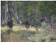 Lot 5 Bradleys Drive, Tumbarumba NSW 2653