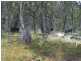 Lot 5 Bradleys Drive, Tumbarumba NSW 2653