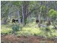Lot 5 Bradleys Drive, Tumbarumba NSW 2653