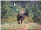 Lot 5 Bradleys Drive, Tumbarumba NSW 2653