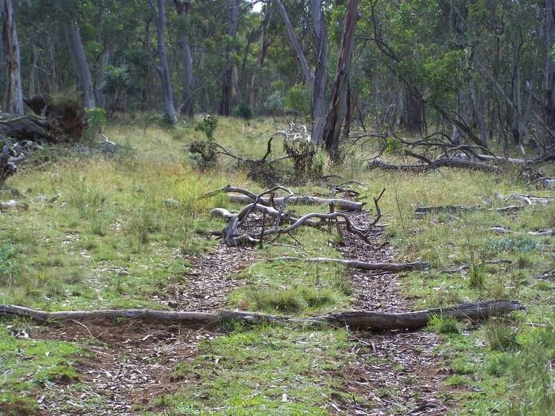 Lot 5 Bradleys Drive, Tumbarumba NSW 2653