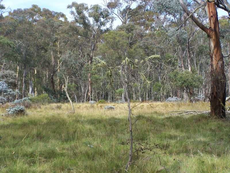 Lot 5 Bradleys Drive, Tumbarumba NSW 2653