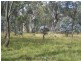 Lot 5 Bradleys Drive, Tumbarumba NSW 2653