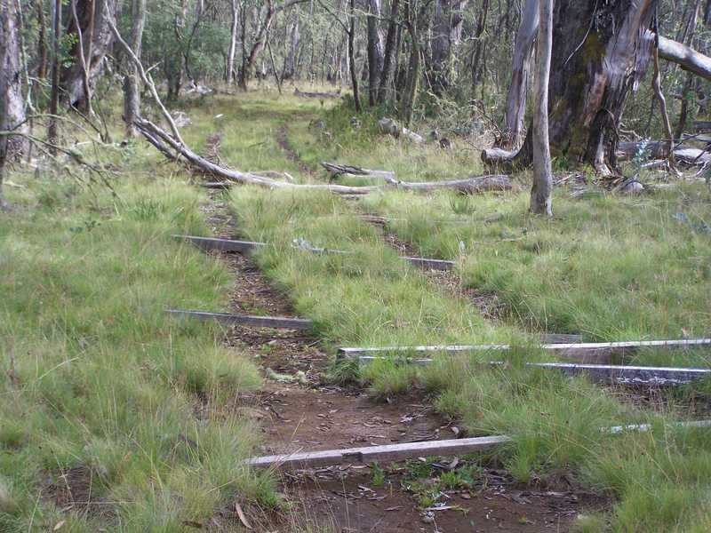 Lot 5 Bradleys Drive, Tumbarumba NSW 2653