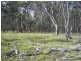 Lot 5 Bradleys Drive, Tumbarumba NSW 2653