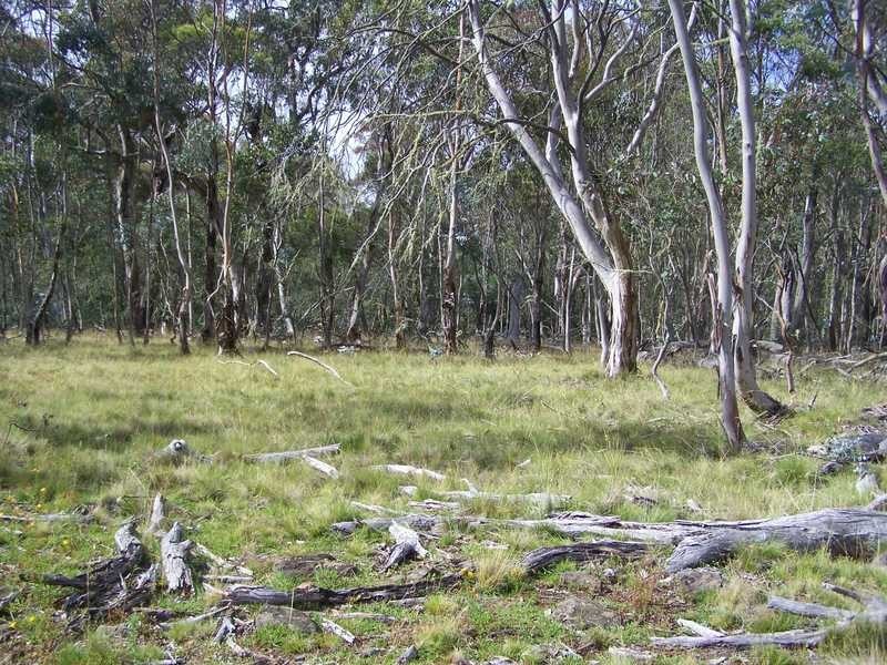Lot 5 Bradleys Drive, Tumbarumba NSW 2653