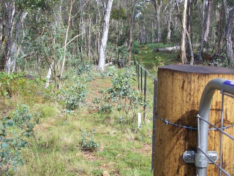 Lot 5 Bradleys Drive, Tumbarumba NSW 2653