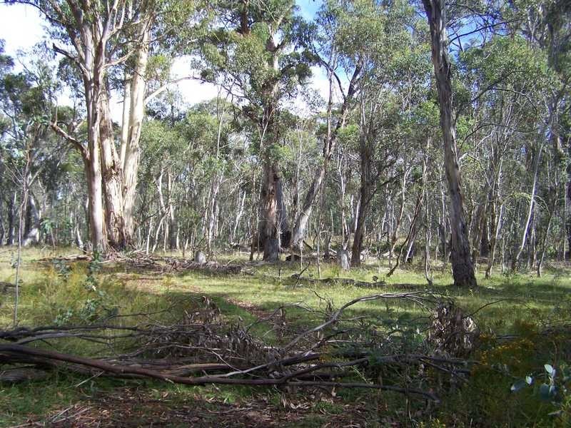 Lot 5 Bradleys Drive, Tumbarumba NSW 2653