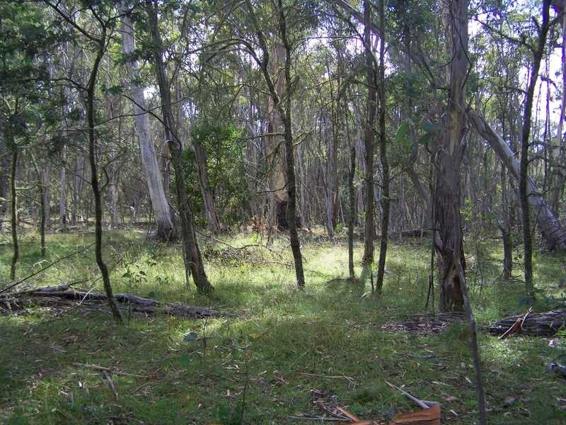 Lot 5 Bradleys Drive, Tumbarumba NSW 2653