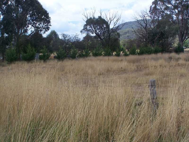 Lots 1 & 2 & 3 Booth Street, Tumbarumba NSW 2653