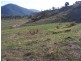 Block 10 River Road, Tumbarumba NSW 2653