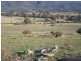 Block 10 River Road, Tumbarumba NSW 2653