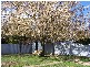10 Regent Street, Tumbarumba NSW 2653