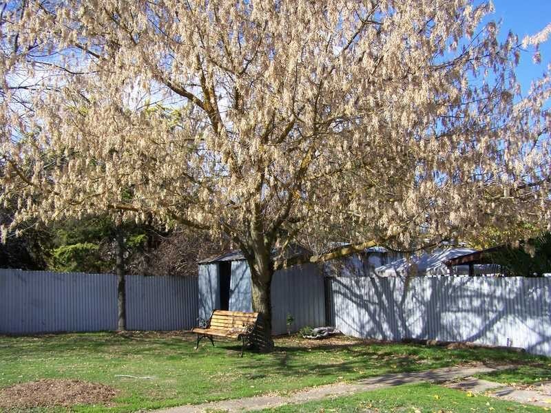 10 Regent Street, Tumbarumba NSW 2653