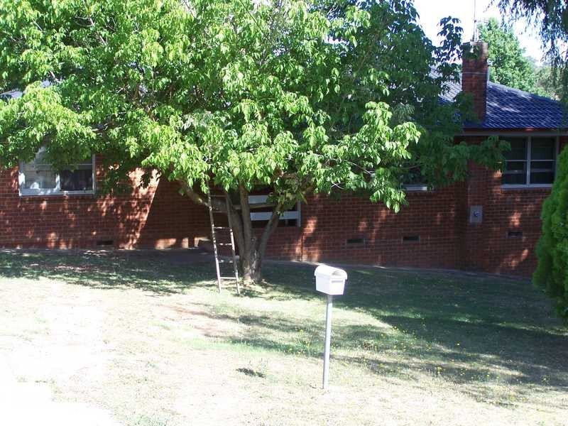 15 Murray St, Tumbarumba NSW 2653