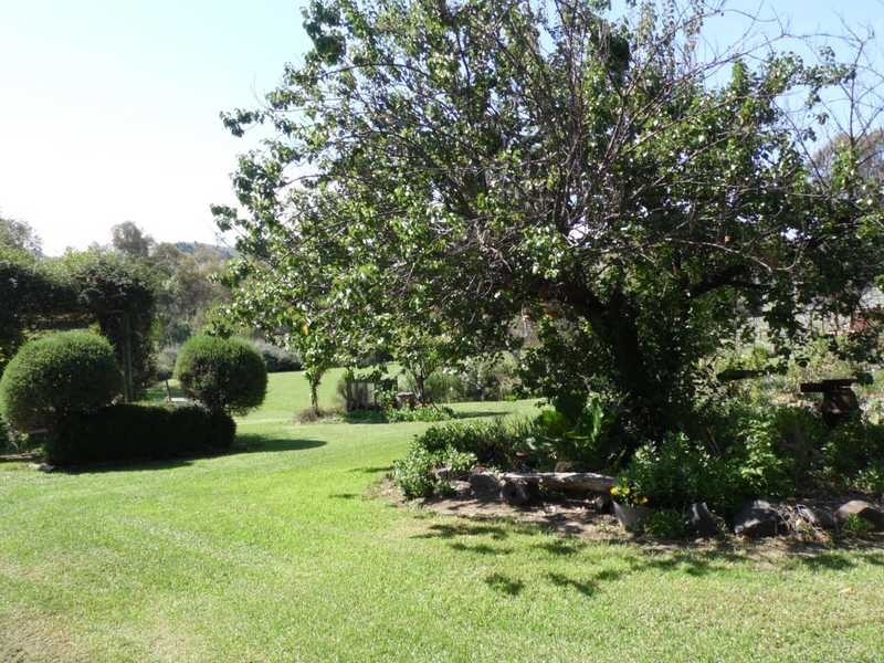 347 Wellumba Creek Road, Greg Greg NSW 2642