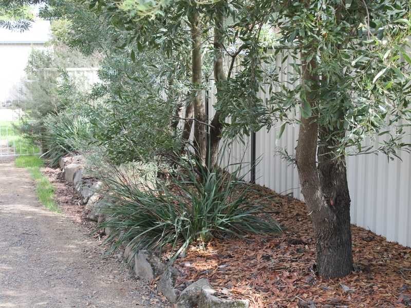 51 Gilbert Street, Tumbarumba NSW 2653