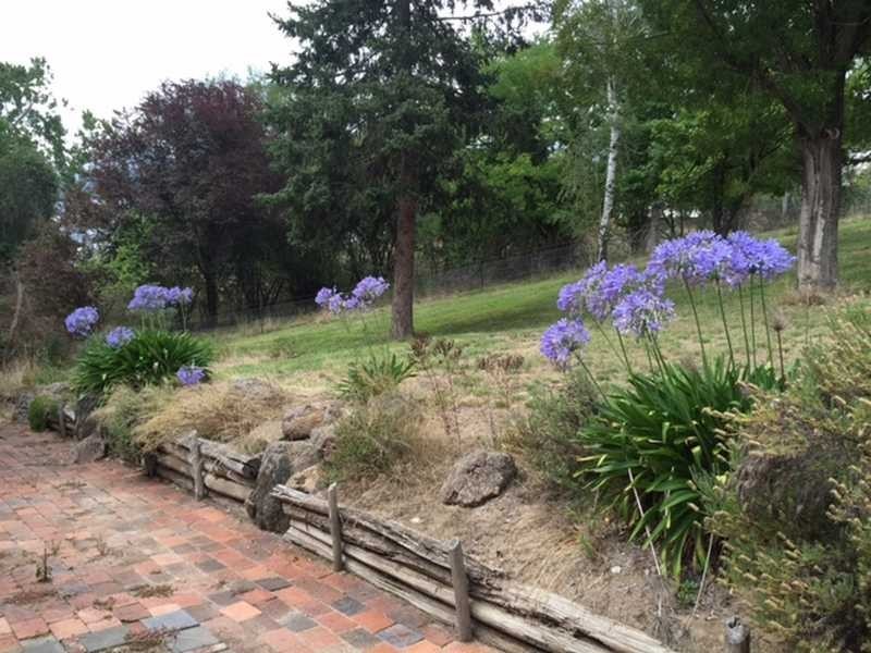 971 Tooma Road, Tumbarumba NSW 2653