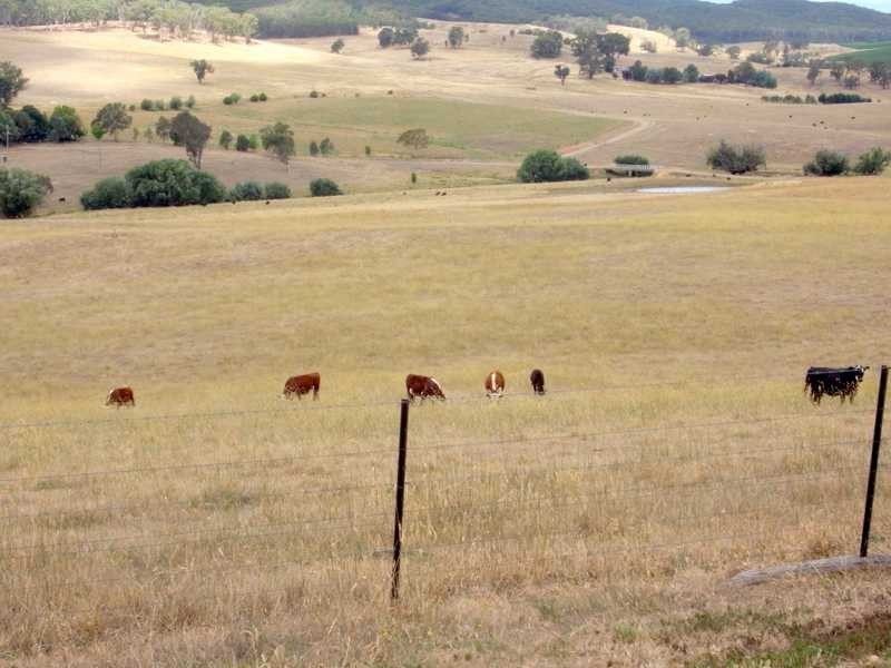 121 Glenroy Hills Road, Tumbarumba NSW 2653