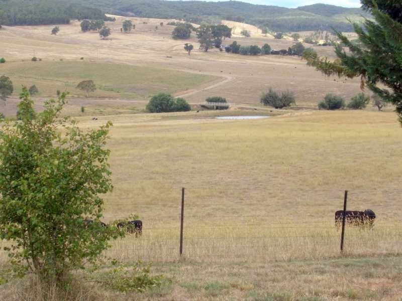 121 Glenroy Hills Road, Tumbarumba NSW 2653