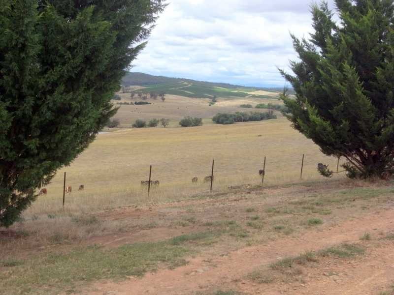 121 Glenroy Hills Road, Tumbarumba NSW 2653