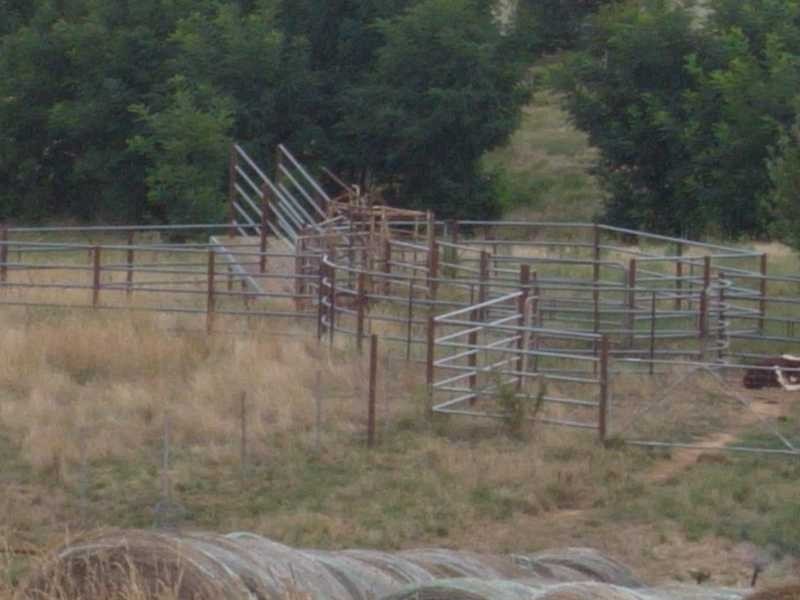 121 Glenroy Hills Road, Tumbarumba NSW 2653