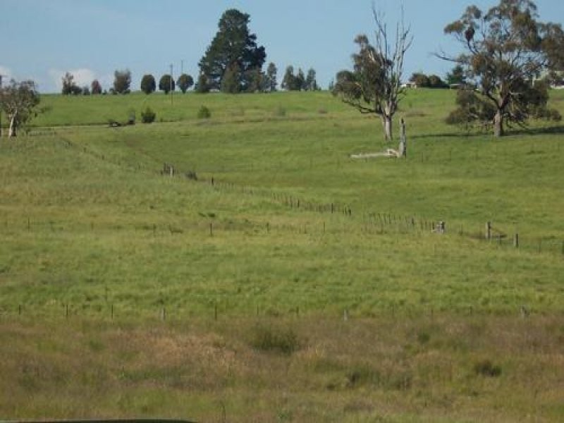 LOT 12 Albury Street, Tumbarumba NSW 2653