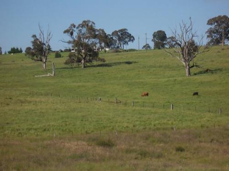 LOT 13 Albury Street, Tumbarumba NSW 2653
