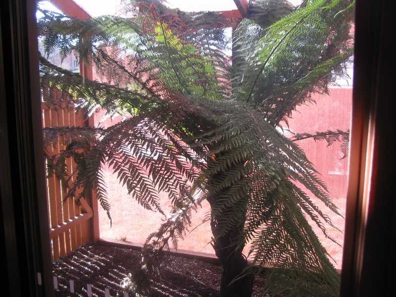 1 O’Connor Circuit, Calwell ACT 2905