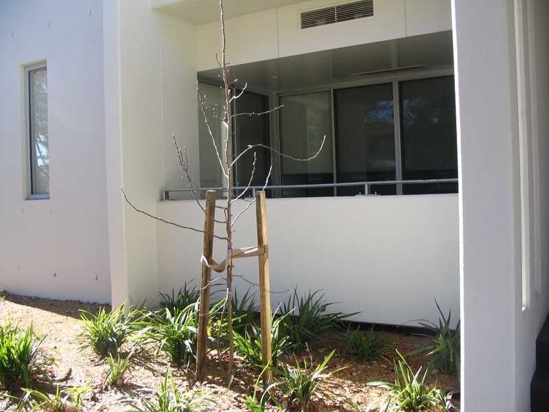 16/24 Forbes Street, Turner ACT 2612