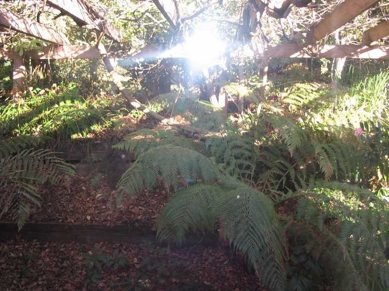 3 Monson Place, Mckellar ACT 2617