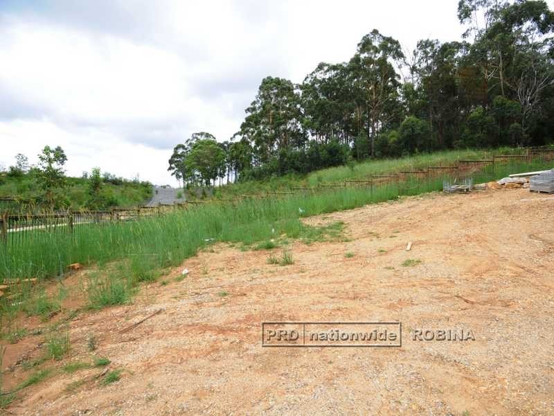 LOT 458 8 Skyburnett Street, Reedy Creek QLD 4227