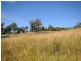 Lot 452 Laceflower Court, Reedy Creek QLD 4227