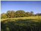 16 Sunnyside Lane, Willow Vale QLD 4209