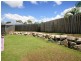 42 Treeline Circuit, Upper Coomera QLD 4209